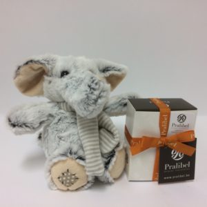 olifant + 250 g praline webshop